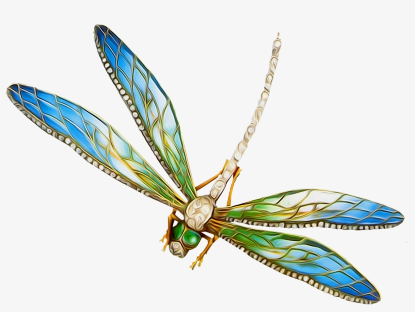 Фото, Автор Иришка-манюшка На Яндекс, transparent png download