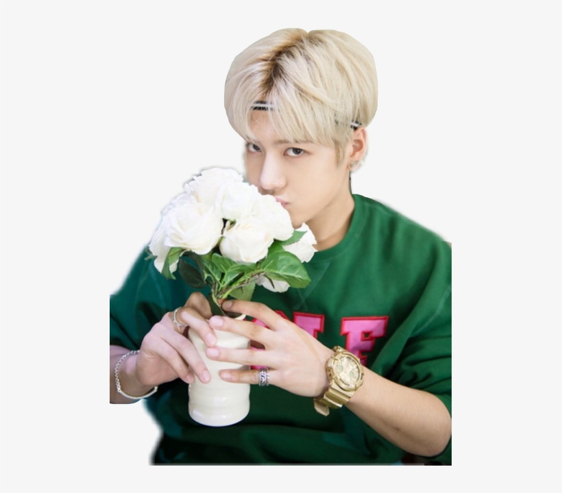 Sign In To Save It To Your Collection, transparent png download