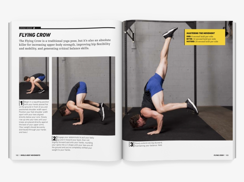 Flying Crow - Flight, transparent png download