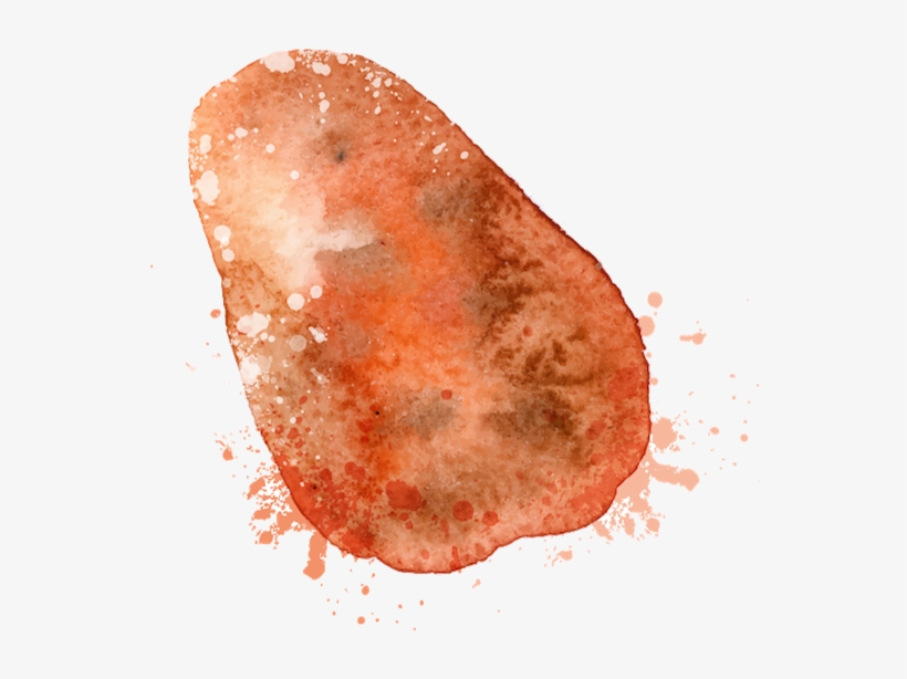 Omani Pink Sweet Potato - Watercolor Paint, transparent png download