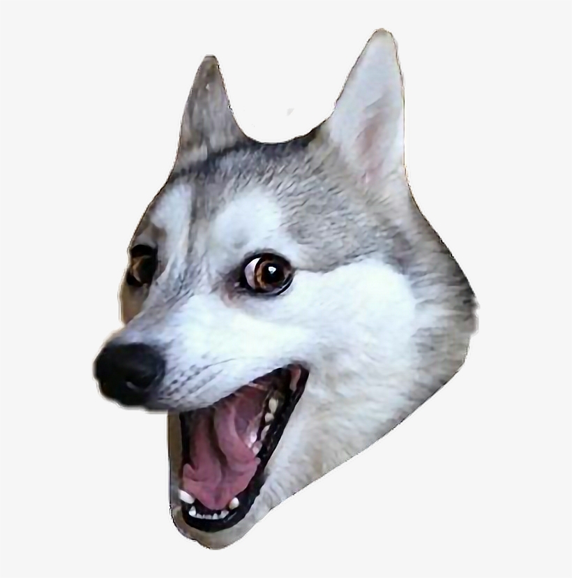 Report Abuse - Pun Husky Transparent Background, transparent png download