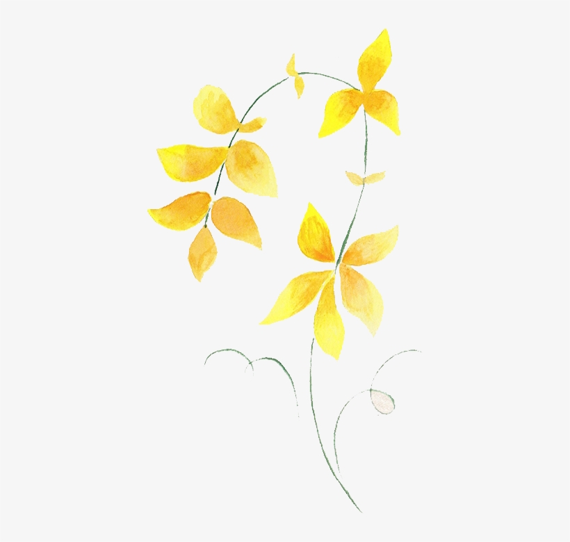 Free Watercolor Seamless Background - Watercolor Painting, transparent png download