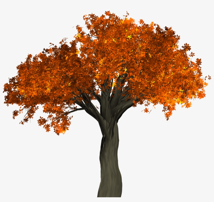 Transparent Background Autumn Tree Png, transparent png download