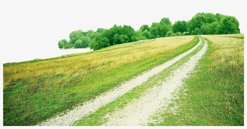 Svg Library Library Green Transprent Free Download - Digital Manipulation Basics - Book, transparent png download