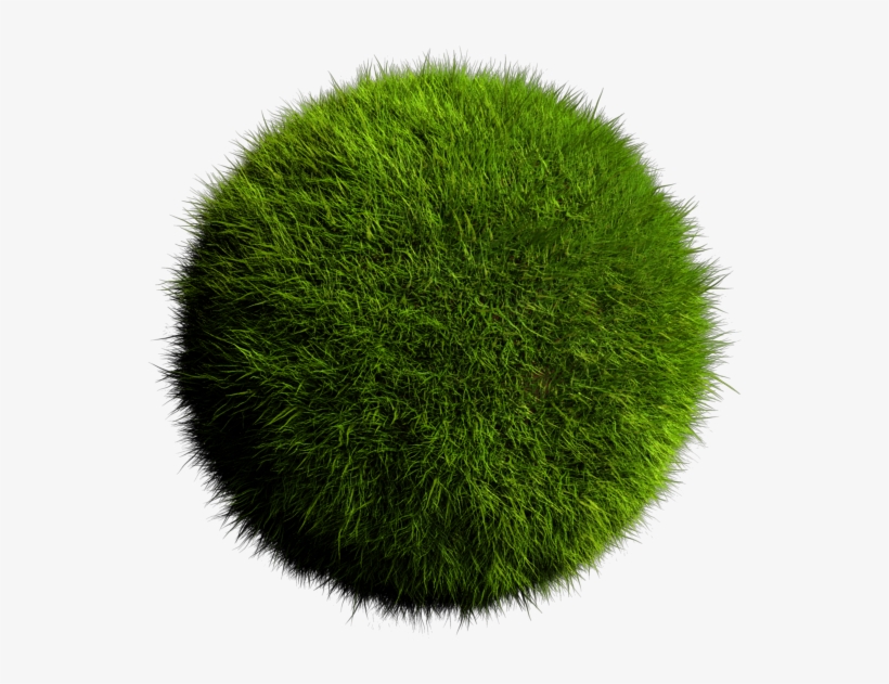 Grass Ball Mentalray - Grass Ball 3d Png, transparent png download