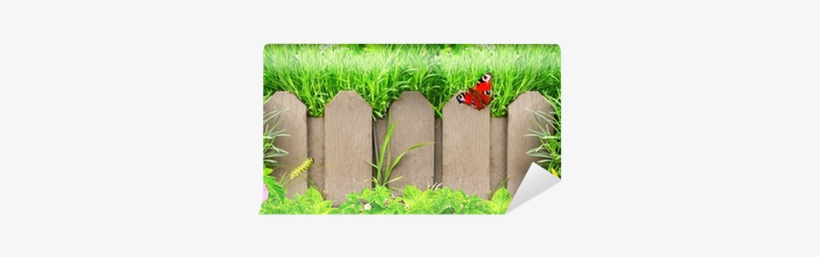 Wooden Fence, Flowers And Green Grass Wall Mural • - Picket Fence, transparent png download