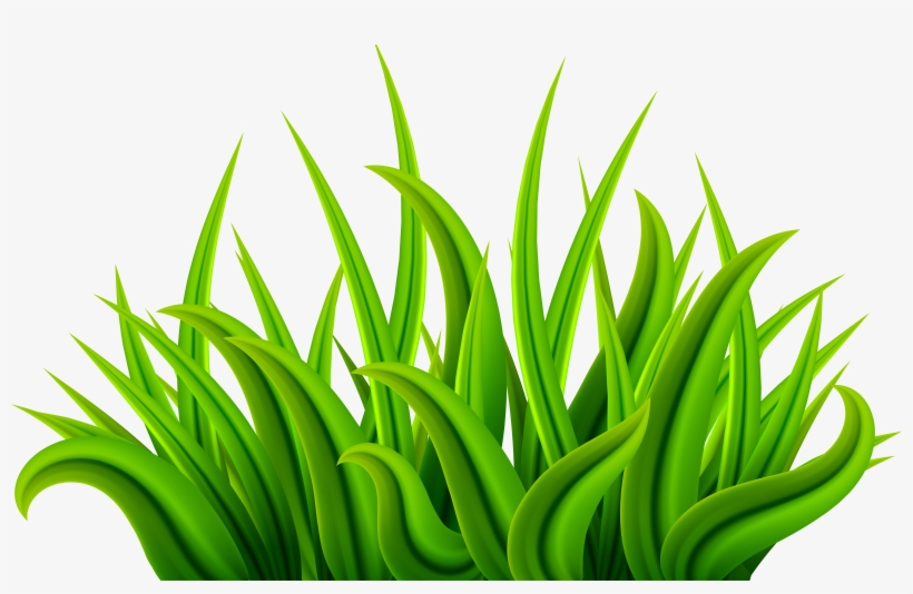 Clipart Grass Green Grass - Grass Clipart, transparent png download