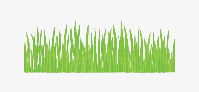 Grass Bleft - Simple Picture Of Grass, transparent png download