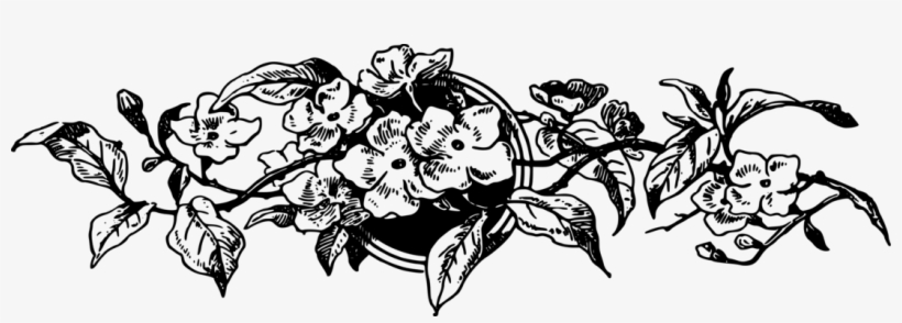 Borders And Frames Decorative Arts Visual Arts Drawing - Clip Art, transparent png download
