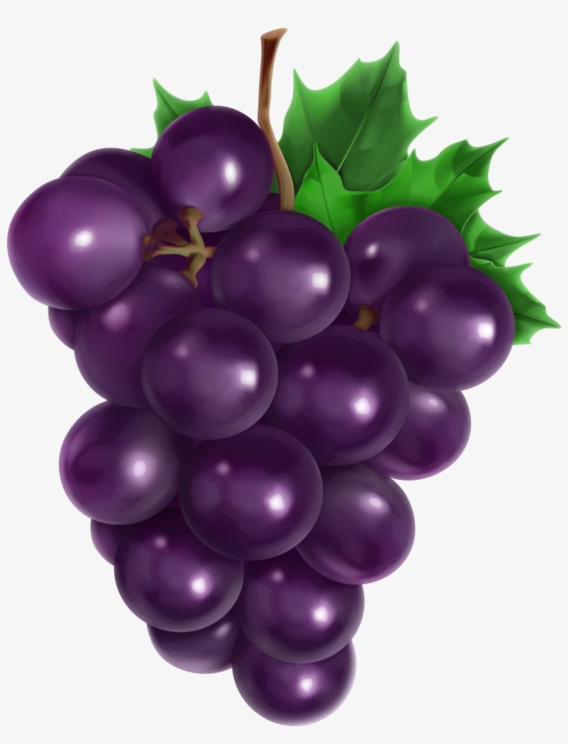Download Grape Png Picture Gallery Yopriceville High View Grapes