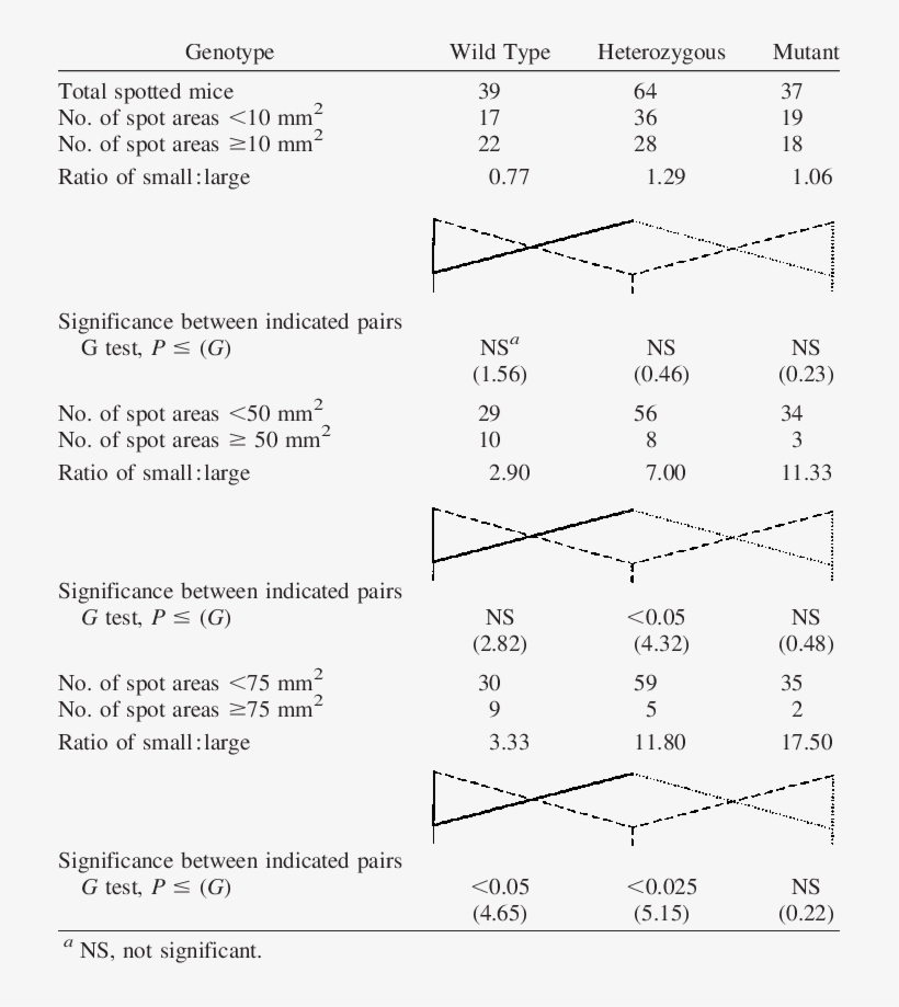 Comparing Area Of Reversion In Spotted Mice Wild Type,, transparent png download