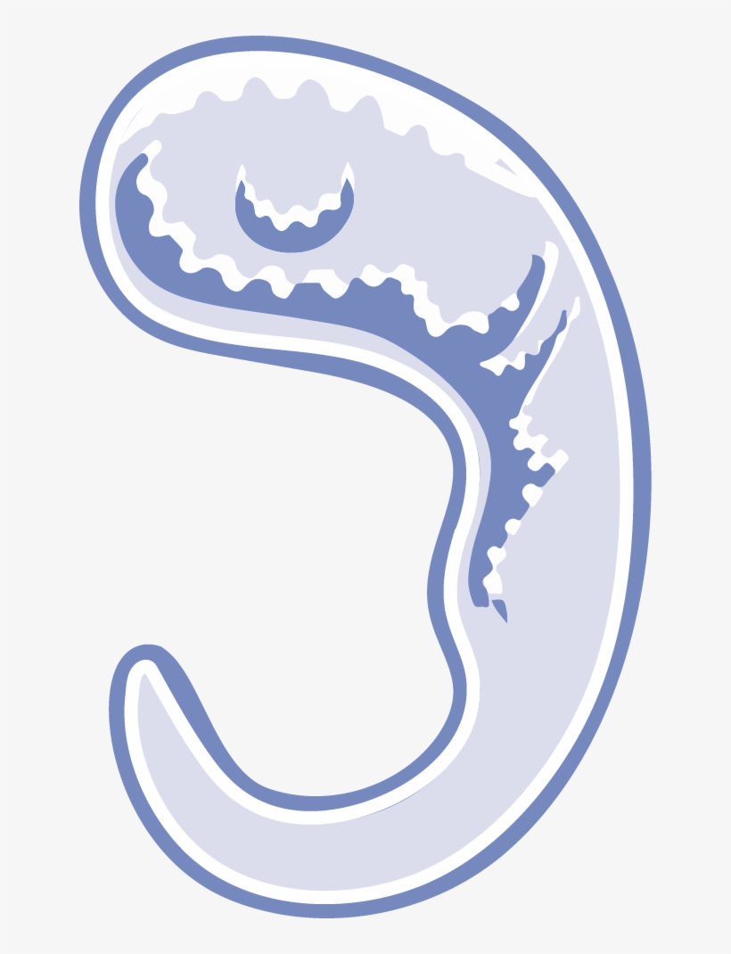 Dna Icon Png, transparent png download