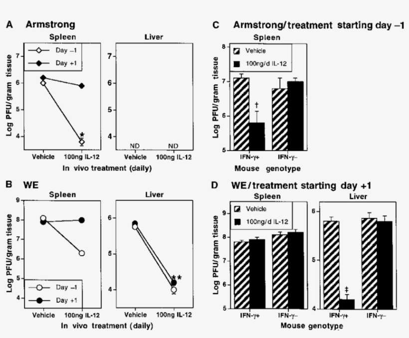 E€ects Of Il 12 Administration On Day 3 Viral Titers, transparent png download