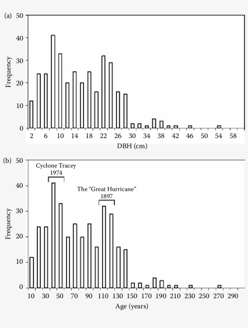 5 Size Class Distribution Of All Eucalyptus And Corymbia, transparent png download