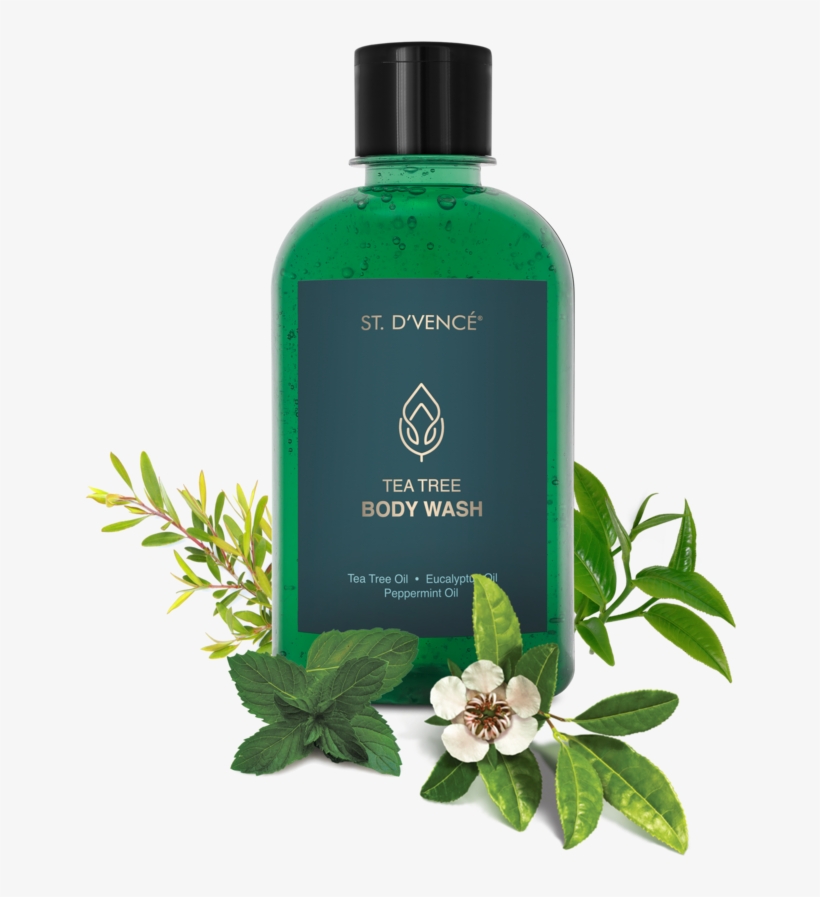 Tea Tree & Eucalyptus & Peppermint Oil Body Wash, transparent png download