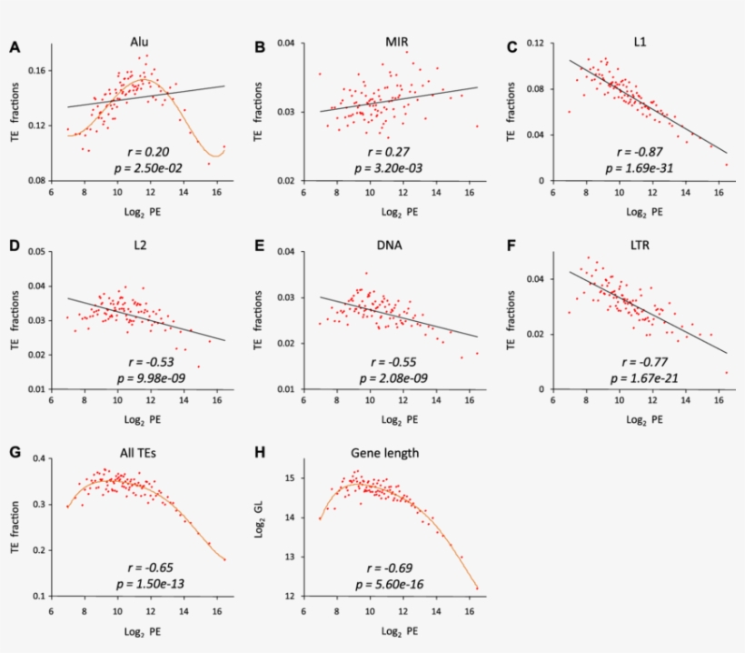 Relationships Between The Te Gene Fractions For Alu,, transparent png download
