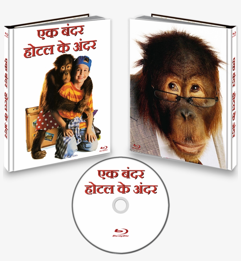 Download The Casino 1995 Torrent Or Choose Other Casino, transparent png download