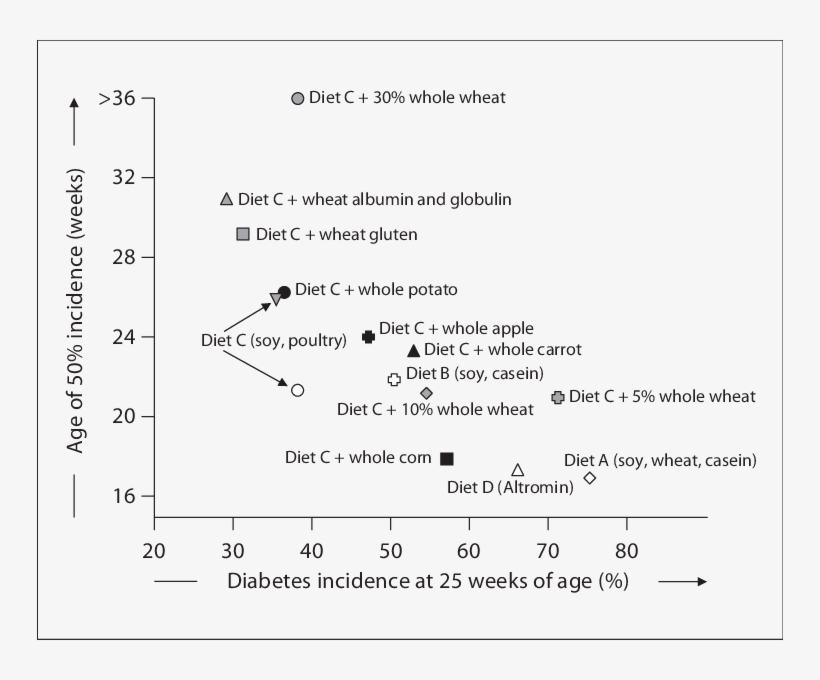 The Effects Of The Different Diets On The Rate Of Diabetes, transparent png download