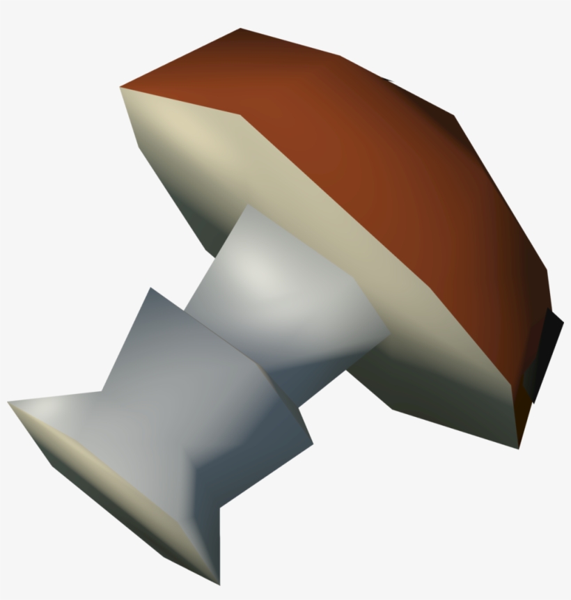 Mort Myre Fungi Can Be Obtained In Mort Myre Swamp, transparent png download