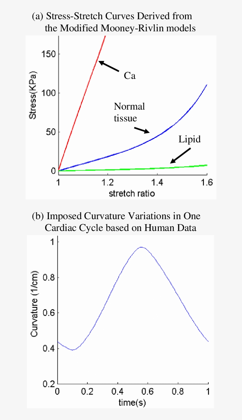 Material Stress Stretch Curves And Imposed Curvature, transparent png download