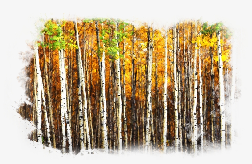 The Soap Soundz® Outdoor Sportsman Line Of Hand Soaps, transparent png download