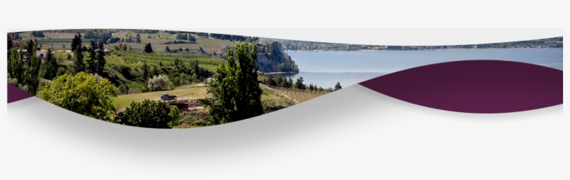 Experience Okanagan Wine Tours, transparent png download