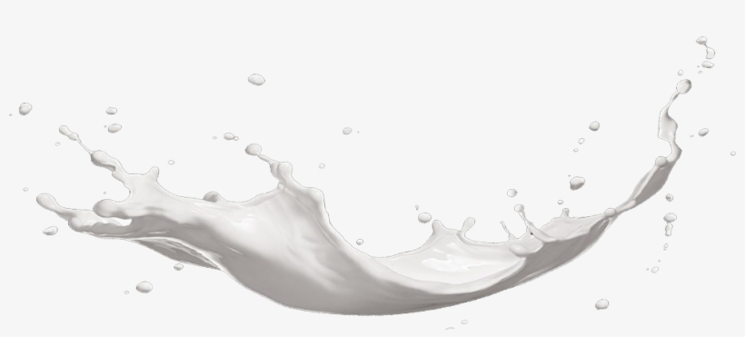 Graphic Royalty Free Library Best United Shakes - Coffee Table, transparent png download