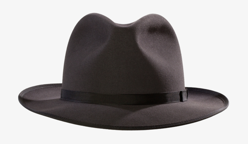 All Hats - Fedora, transparent png download