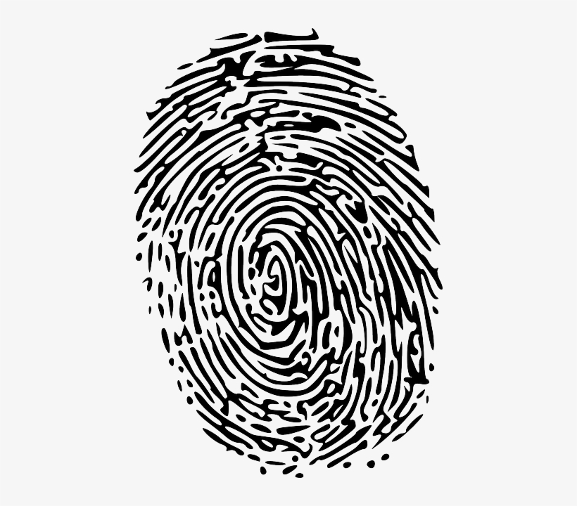 Fingerprint Vector Thumb Impression - Crime Fingerprint, transparent png download