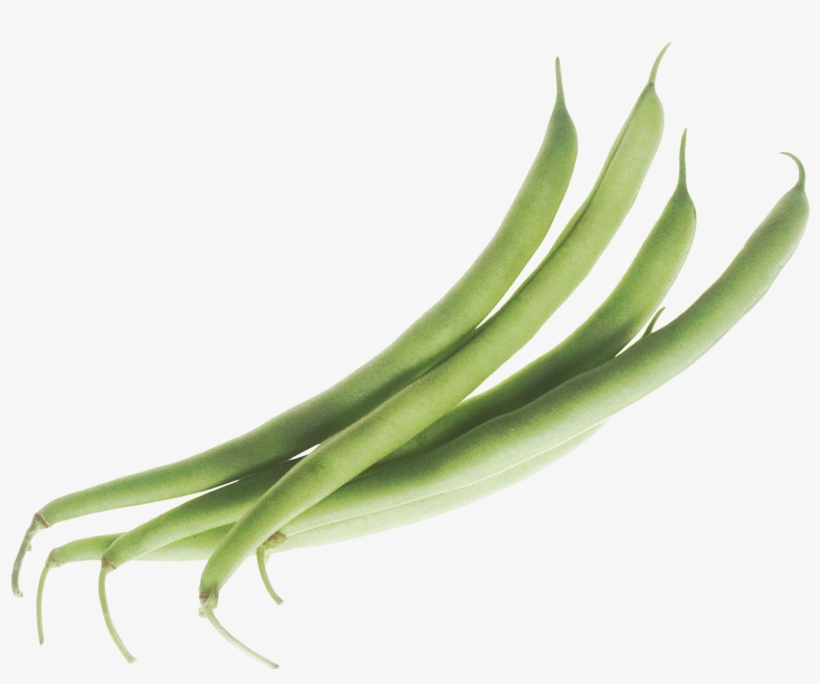 Green Beans - Green Beans Png, transparent png download