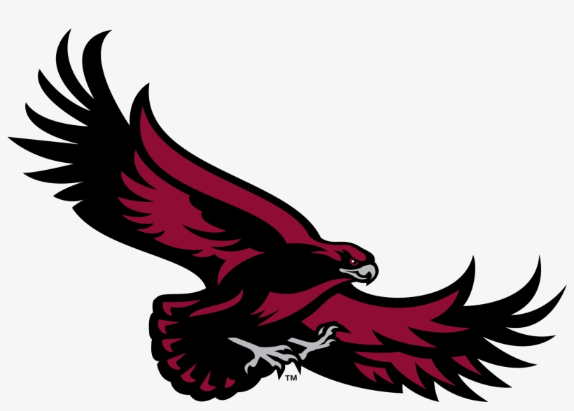 Saint Joseph's Hawks Logo Png Transparent - St Joseph's Hawks Logo, transparent png download