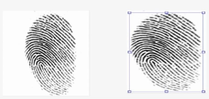 Example Of Roi Usually, Latent Fingerprints Are Collected - Crime Scene Fingerprints, transparent png download