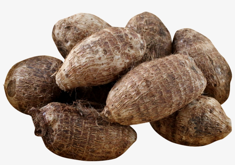 Taro Png Image1 - Taro Png, transparent png download