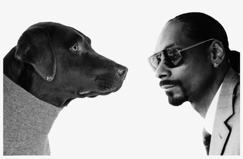 Snoop Dogg, transparent png download