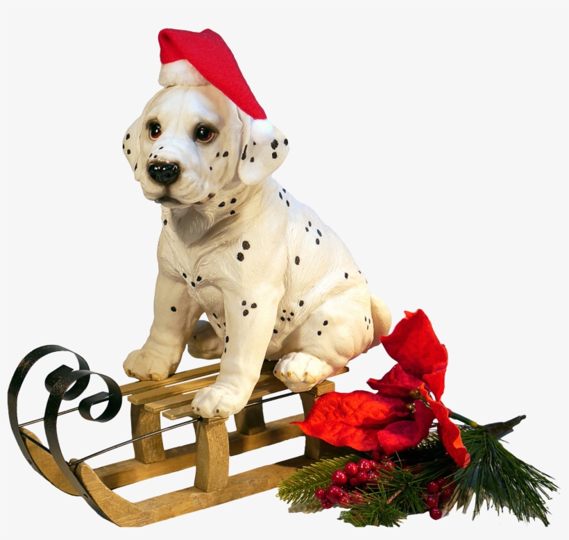 Christmas Dog Png Transparent Image - Christmas Dogs Png, transparent png download