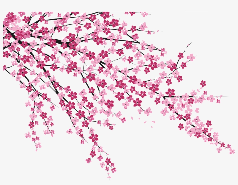 Jpg Royalty Free Stock Sakura No Hanabiratachi Wall - Ultra Thin Transparent Case For Samsung Galaxy J5 2017, transparent png download