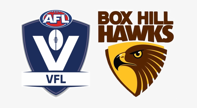 Logo-vflhawks - Box Hill Hawks Logo, transparent png download
