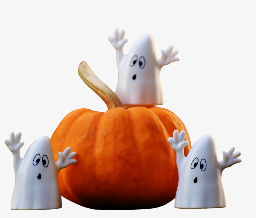 Funny Dog Costume Carrying Pumpkin - Ghosts On Pumpkin, transparent png download