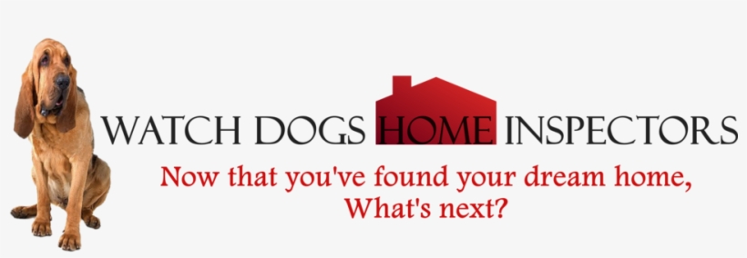 Noname3 - Bluthund-hündchen-gruß-postkarte Postkarte, transparent png download