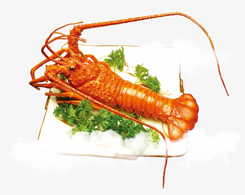 Lobster Meat Png - Ảnh Tôm, transparent png download