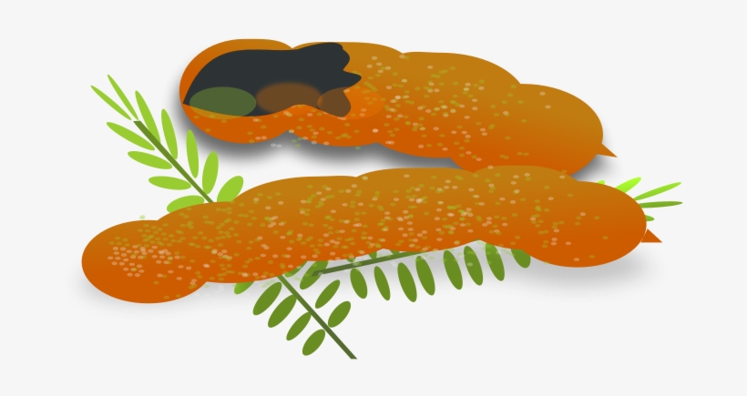 Tamarind - Clip Art Sour Foods, transparent png download