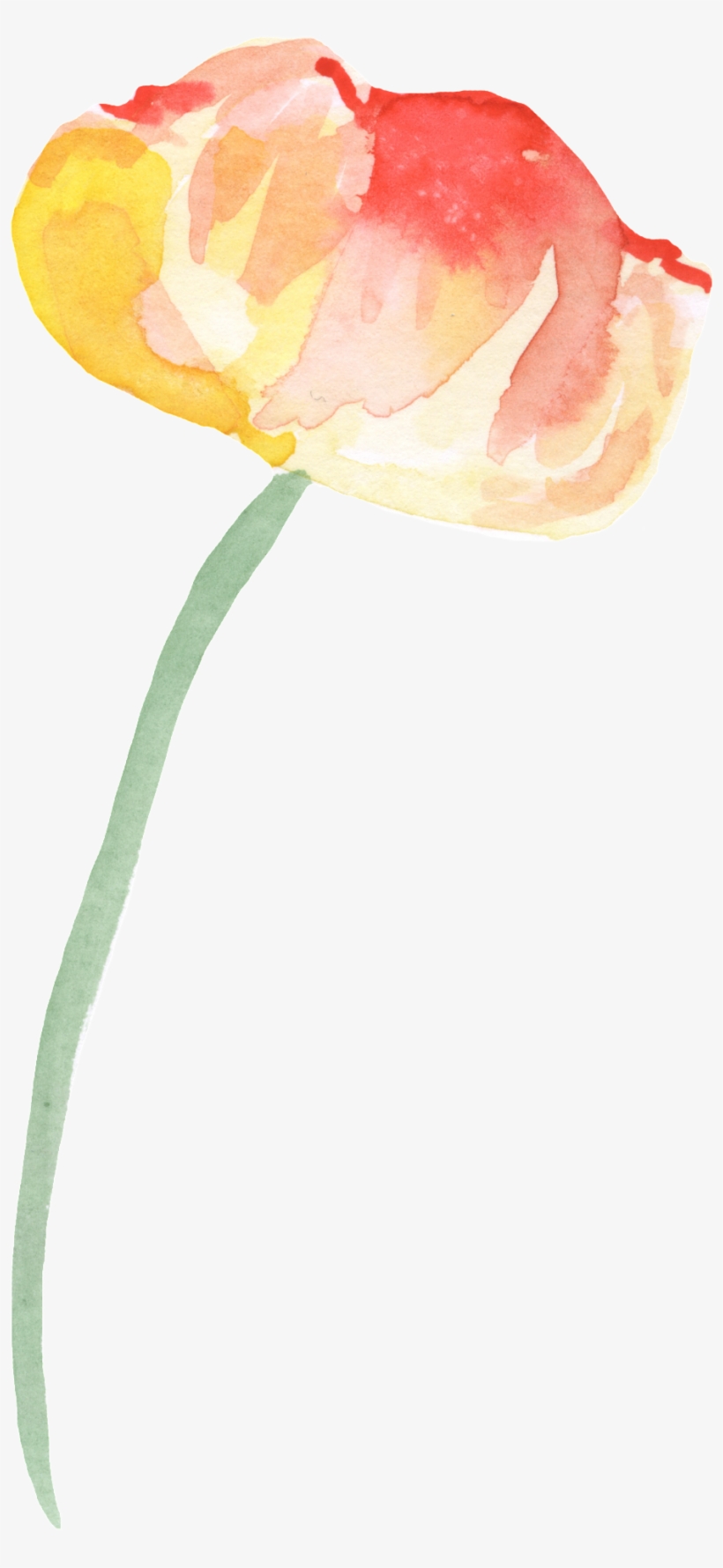 Red Yellow Flower Transparent Decorative - Still Life, transparent png download