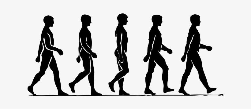 Drawing The Human Figure Tips For Beginners - People Walking To The Left, transparent png download