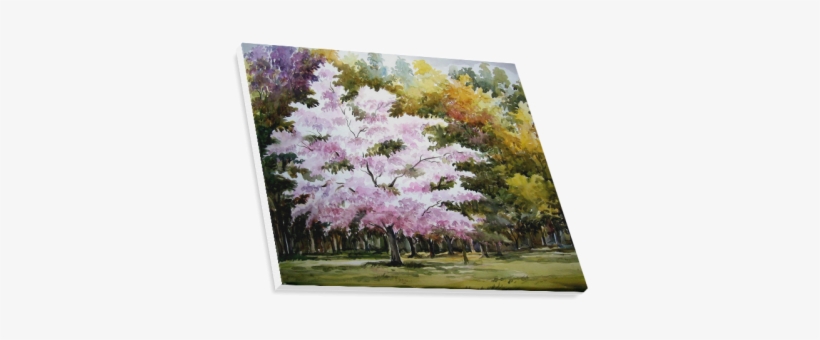 Beauty Of Autumn Forest - Astilbe, transparent png download