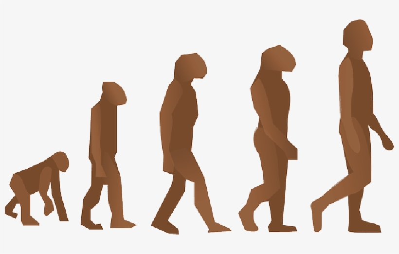 Mb Image/png - Does It Mean To Be Human, transparent png download