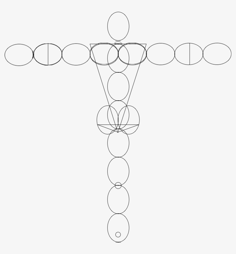 A Wire Frame Sketch Of The Human Body As Described - Line Art, transparent png download