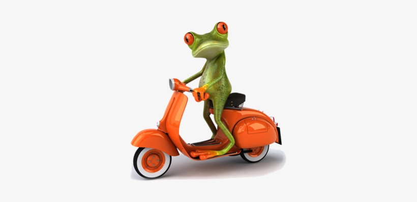Image Du Blog Amazone54 - Funny Pics Of Frog, transparent png download