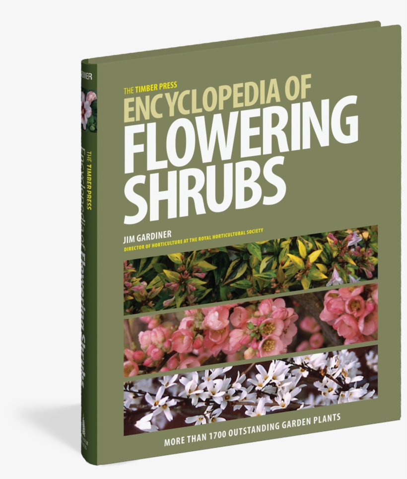View Full Size Image - Timber Press Encyclopedia Of Flowering Shrubs (hardback), transparent png download