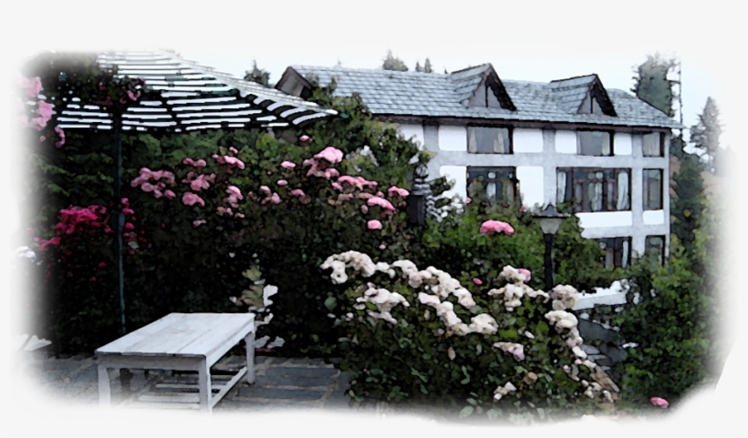 Gallery10 - Garden Roses, transparent png download