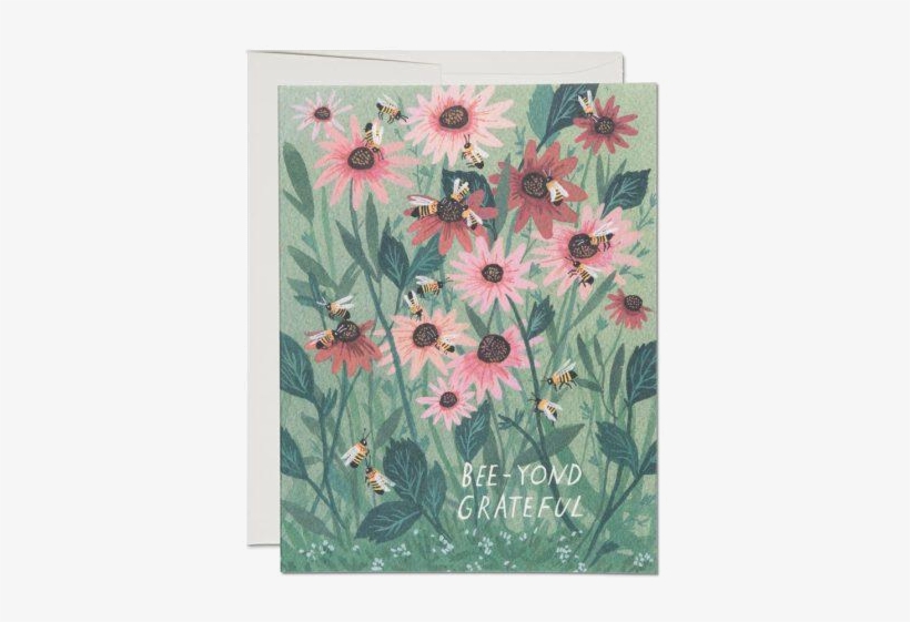 Red Cap Cards - Becca Stadtlander Bees, transparent png download